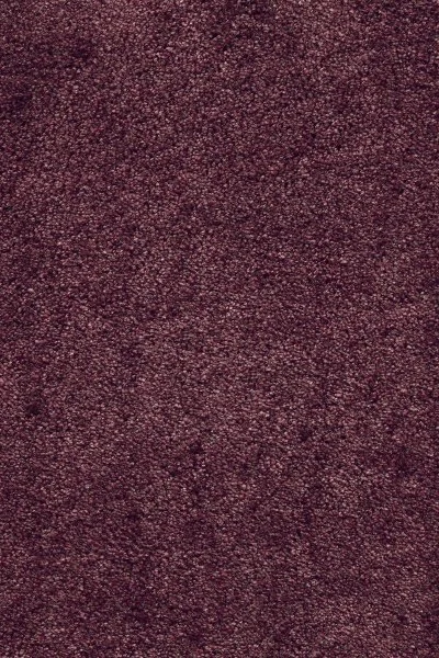 Ковровое покрытие AW Fedone 19 - (5м) в Новокузнецке