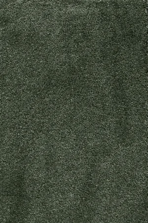 Ковровое покрытие AW Fedone 24 - (5м) в Новокузнецке