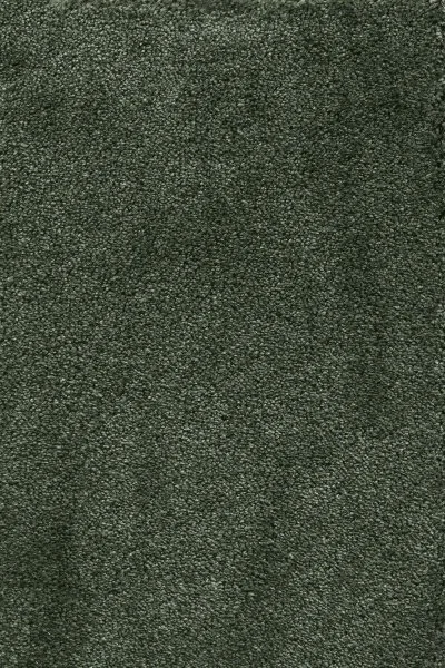 Ковровое покрытие AW Fedone 24 - (5м) в Новокузнецке