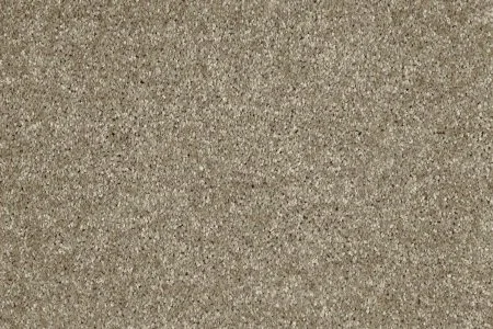 Ковровое покрытие AW Gala 33 - (5м) в Новокузнецке