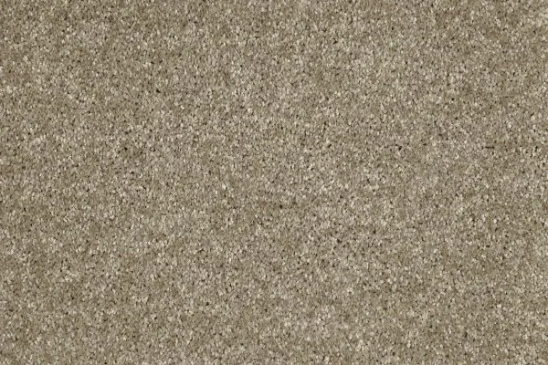 Ковровое покрытие AW Gala 33 - (4м) в Новокузнецке