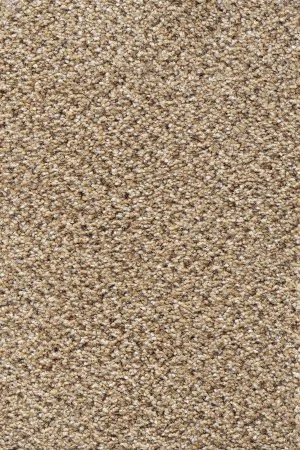 Ковровое покрытие AW Stainaway Tweed 50 - (4м) в Новокузнецке
