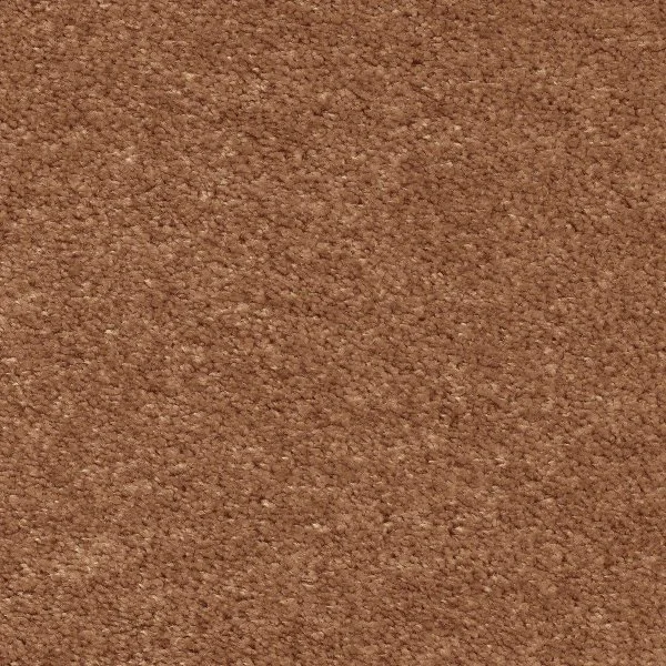 Ковровое покрытие AW Euphoria 84 - (5м) в Новокузнецке