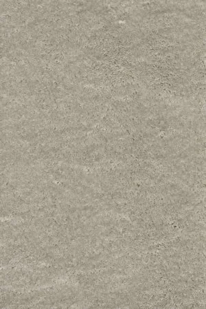 Ковровое покрытие AW Fedone 90 - (5м) в Новокузнецке