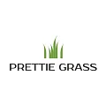 Искусственная трава Prettie Grass в Новокузнецке
