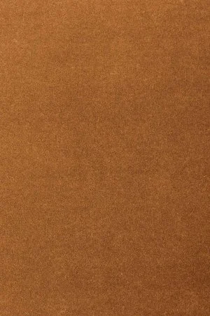 Ковровое покрытие AW Oinone 84 - (5м) в Новокузнецке