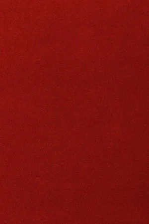 Ковровое покрытие AW Oinone 10 - (5м) в Новокузнецке