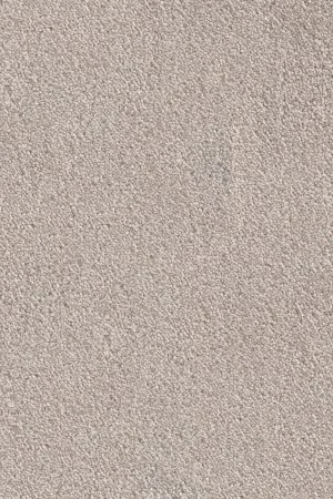 Ковровое покрытие AW Messalina 37 - (4м) в Новокузнецке