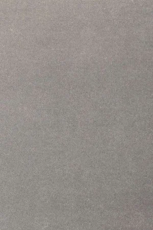 Ковровое покрытие AW Oinone 94 - (5м) в Новокузнецке