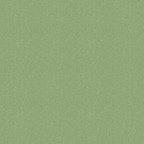 Линолеум Tarkett Tempo Plus 1009 2 м в Новокузнецке