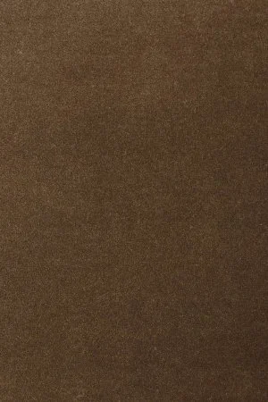 Ковровое покрытие AW Oinone 44 - (5м) в Новокузнецке