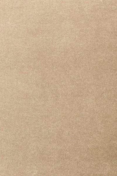 Ковровое покрытие AW Oinone 36 - (4м) в Новокузнецке