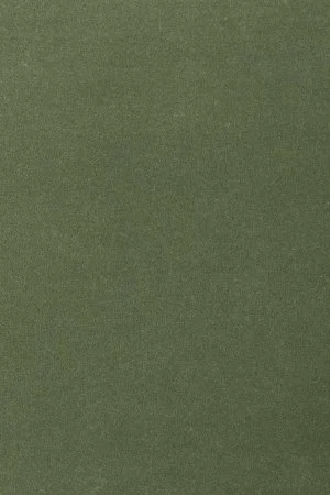 Ковровое покрытие AW Oinone 24 - (4м) в Новокузнецке