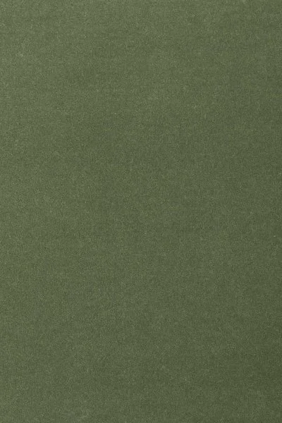 Ковровое покрытие AW Oinone 24 - (4м) в Новокузнецке