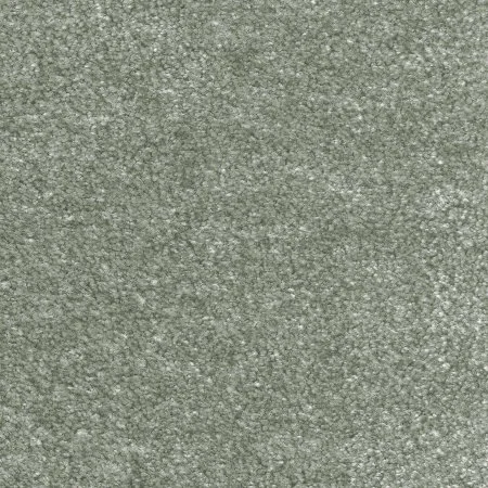 Ковровое покрытие AW Euphoria 28 - (5м) в Новокузнецке