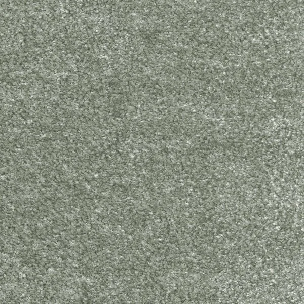 Ковровое покрытие AW Euphoria 28 - (5м) в Новокузнецке