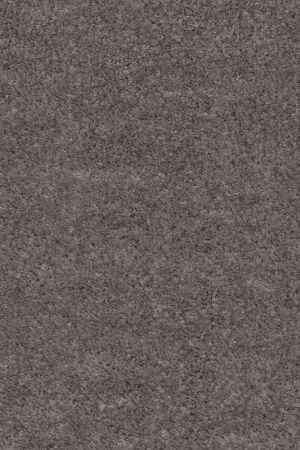 Ковровое покрытие AW Euphoria 45 - (4м) в Новокузнецке