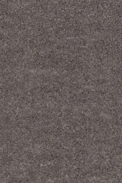 Ковровое покрытие AW Euphoria 45 - (4м) в Новокузнецке