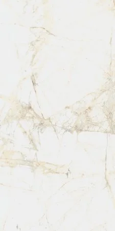 Керамогранит Coliseum Канова Уайт 60х120 (Натуральный и Реттифицированный) в Новокузнецке