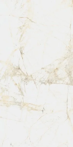 Керамогранит Coliseum Канова Уайт 60х120 (Натуральный и Реттифицированный) в Новокузнецке