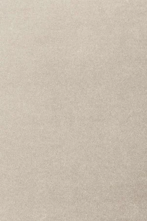 Ковровое покрытие AW Oinone 39 - (5м) в Новокузнецке